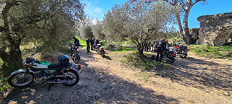Camargue Alpilles 2025